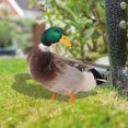 thumbnail image 4 of Duck Garden Stake Decoration 2 Types Optional Duck Stake Ornament for Courtyard Patio and Yard, 4 of 5