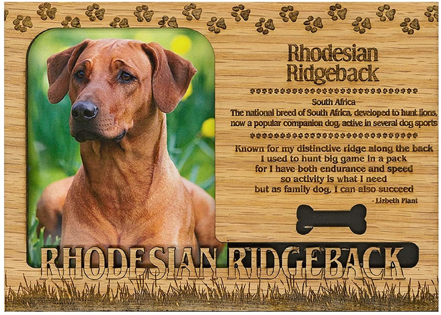 RHODESIAN RIDGEBACK No Barking FRIDGE MAGNET New DOG 