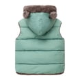 thumbnail image 4 of GYRATEDREAM Toddler Boys Girls Hooded Puffer Vest Padded Warm Winter Jacket Sleeveless Bear Ears Zipper Up Coat with Pocket 1-6Y, 4 of 5