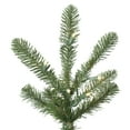 thumbnail image 3 of Vickerman 9' Alberta Spruce Artificial Christmas Tree, Clear Dura-lit Lights - Faux Christmas Tree - Seasonal Indoor Home Decor, 3 of 7