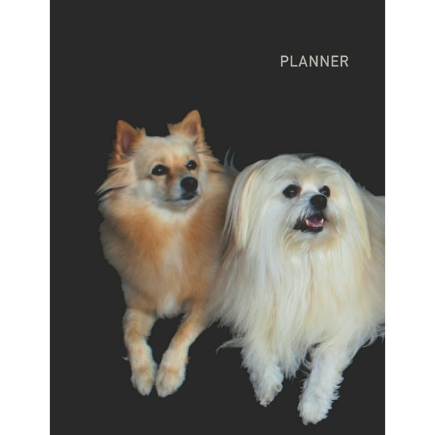Planner : Pomeranian Dog 2 Year Monthly Planner with Note ...