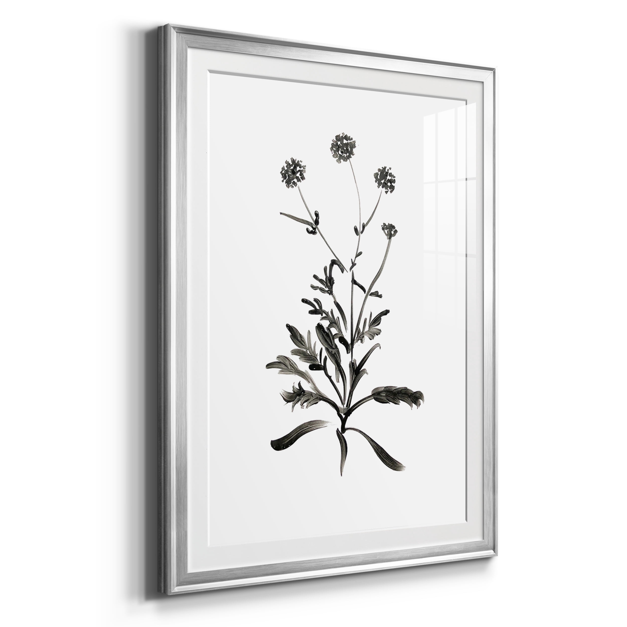 Inky Botanical I Premium Framed Prints Set of 3 - Ready to Hang - 30.5 x 42.5 Each - Silver Frame