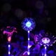 thumbnail image 3 of Luces solares para jardín al aire libre, 3 luces LED decorativas que cambian de color para patio, césped y terraza., 3 of 5