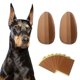 thumbnail image 1 of Parche de Soporte para la Oreja del Perro Pegatinas de Parche para la Oreja del Perro Pegatina para la Oreja del Cachorro Soporte Fijo Herramienta para Levantar la Oreja del ANGGREK Otros, 1 of 8