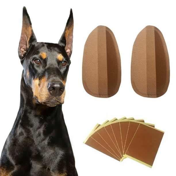 Parche de Soporte para la Oreja del Perro Pegatinas de Parche para la Oreja del Perro Pegatina para la Oreja del Cachorro Soporte Fijo Herramienta para Levantar la Oreja del ANGGREK Otros