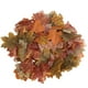 thumbnail image 1 of 1 colgante de hoja de arce para decoración de Halloween., 1 of 3