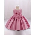 thumbnail image 2 of Bagilaanoe Toddler Baby Girls Formal Dress Sleeveless A-line Princess Dresses 6M 12M 18M 24M 3T 4T 5T Kids Flower Tulle Dress for Wedding Birthday Party Gown, 2 of 7