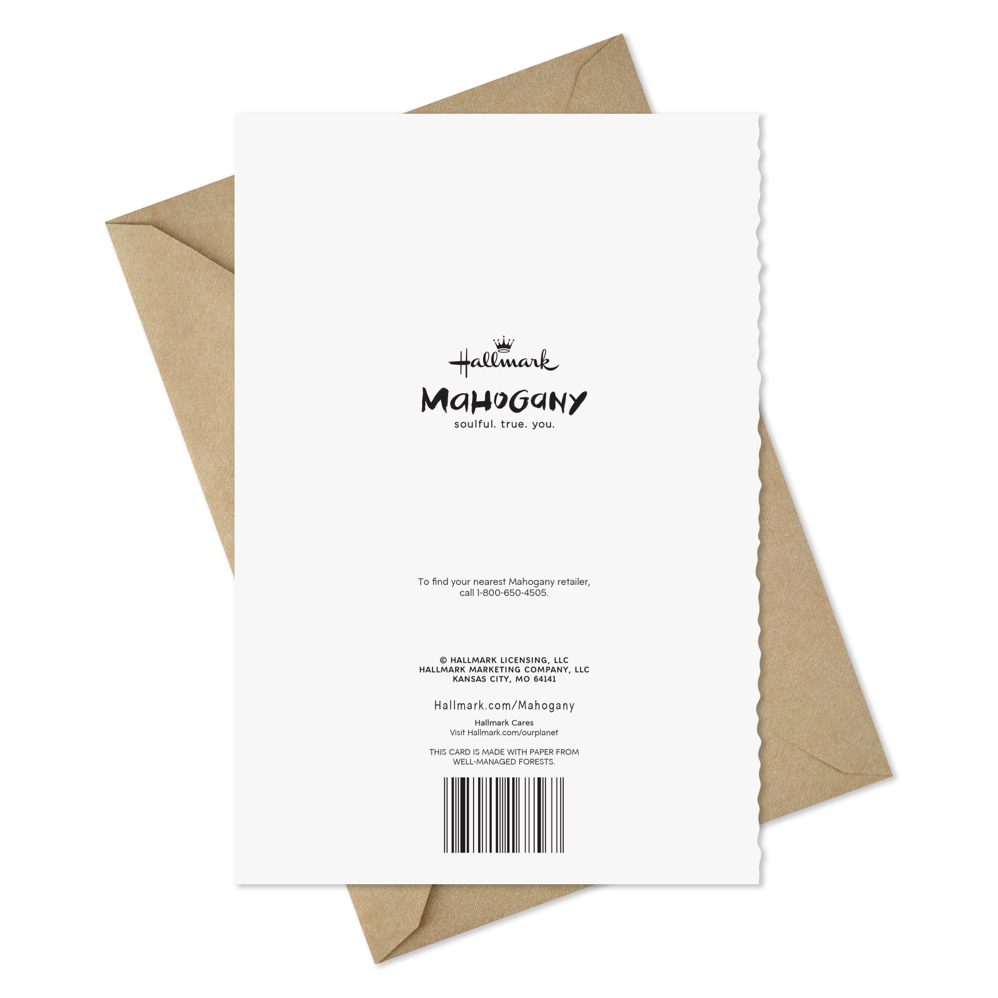 Hallmark Mahogany Get Well Card (May the Lord Take Good Care of You)