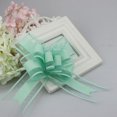 thumbnail image 1 of 10 Pieces Pull Bow Large Organza Gift Wrapping Pull Bows with Ribbon for Wedding Gift Baskets, Festive Party Supplies(6 Inches Diameter), 1 of 1