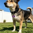 thumbnail image 6 of Tuvgenk Dog Identification Tag Silicone Pet ID Label Lost Prevention Engraved Pattern Collar Mount Washable Stainless Fastener, 6 of 6
