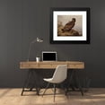 thumbnail image 4 of Ferdinand von Wright 23x20 Black Modern Framed Museum Art Print Titled - White-Tailed Eagle with its Prey (1861), 4 of 5