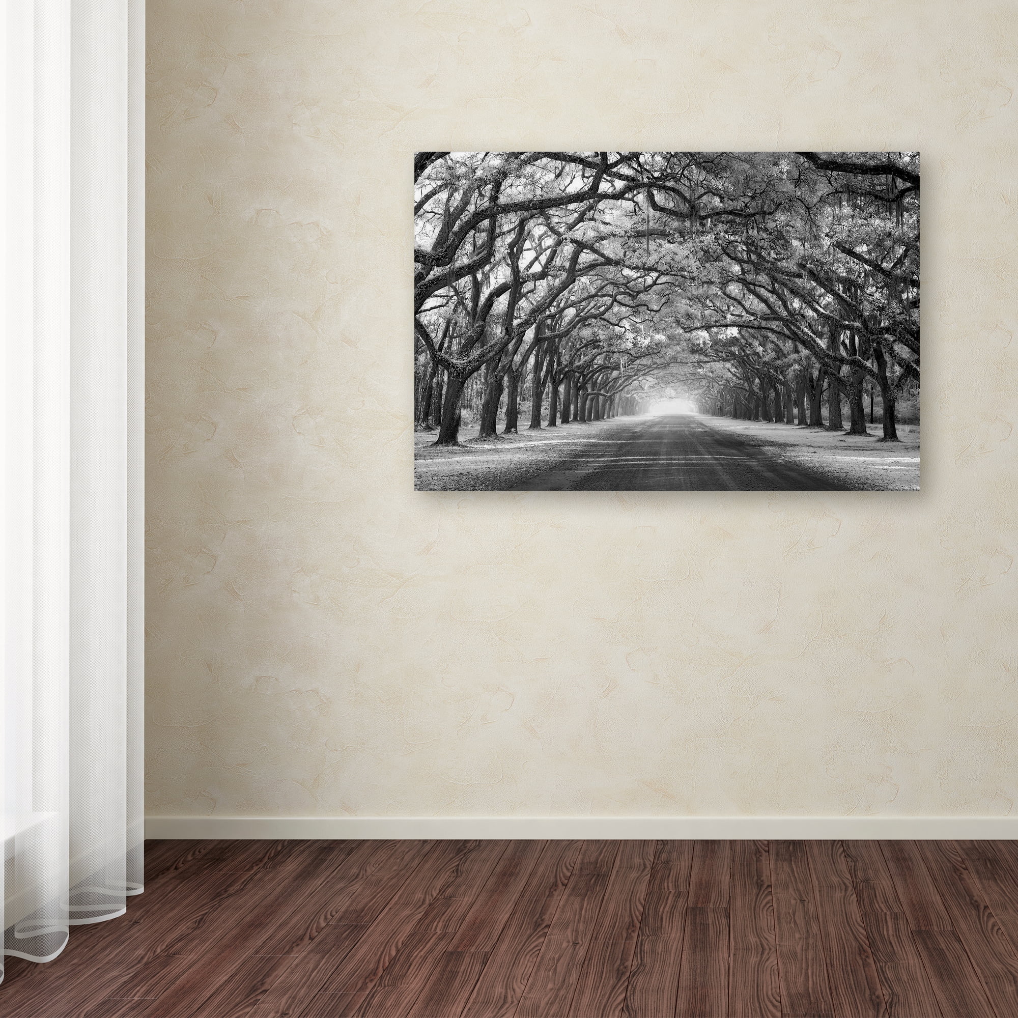 Mike Jones Photo 'Wormsloe Inf Light' Canvas Art