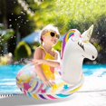thumbnail image 5 of Cesta de filtración Fiitzn compatible con Dolphin para piscina, 5 of 5