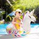 thumbnail image 5 of Cesta de filtración Fiitzn compatible con Dolphin para piscina, 5 of 5