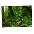 thumbnail image 1 of QualitChoice Aquarium Background 3D Background Poster Fish Wall Tank Sticker Decorations Grass Green 122x46cm, 1 of 6