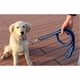 thumbnail image 5 of Zhuge ColorPet Martingale Slip Lead Collar Bear Fruit Correa para perros medianos y grandes, mediano, negro y azul, 5 of 5