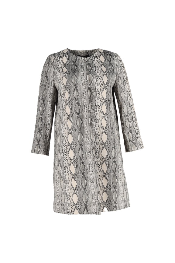 Pre-Owned Max Mara Studio Panetto Coat in Animal Print Viscose