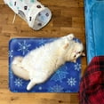 thumbnail image 2 of "Ultimate Cooling Gel Pet Pad for Summer – Foldable, Waterproof, and Durable Design for All Pets, Indoor/Outdoor Use, Available in Multiple Sizes (50x60cm)", 2 of 7