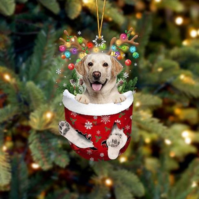 Xihbxyly Adornos Navideños de Perro, Adorables Diseños con Temática Canina, Plástico Duradero, Decoración Navideña Versátil, Ideal para Árboles, Paredes y Coches, Regalo para Amantes de Los Perros, 8