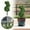 Green, variant on Artificial Bunny-Shaped Topiary Tree 28'' UV-Resistant Boxwood Topiary for Porch Decorï¼Set of Twoï¼