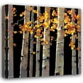 thumbnail image 1 of Michael OToole 28x28 Gallery Wrapped Canvas Wall Art Titled - Aspen Grove, 1 of 4