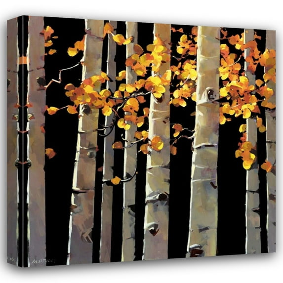 Michael OToole 28x28 Gallery Wrapped Canvas Wall Art Titled - Aspen Grove