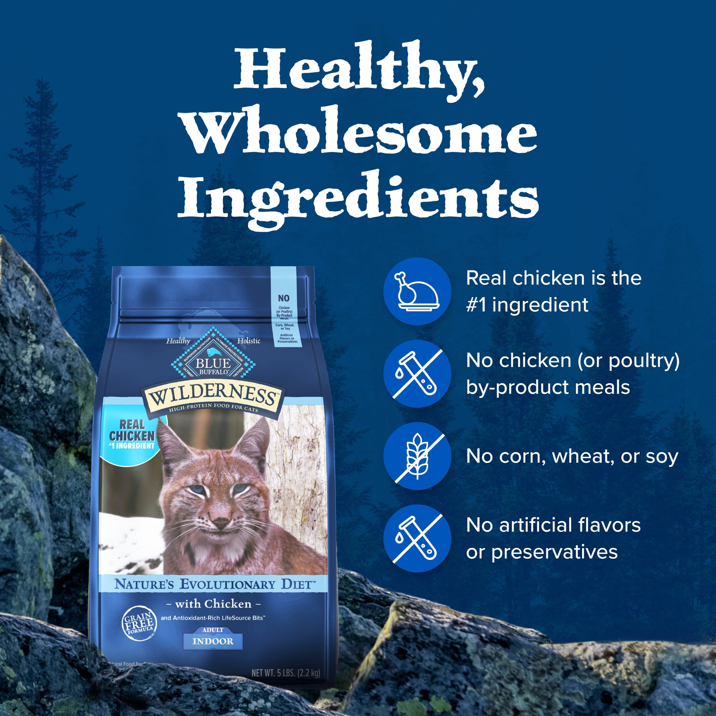 Blue Buffalo Wilderness Natural High-Protein, Grain-Free Dry Cat Food, Chicken, 11-lb. Bag