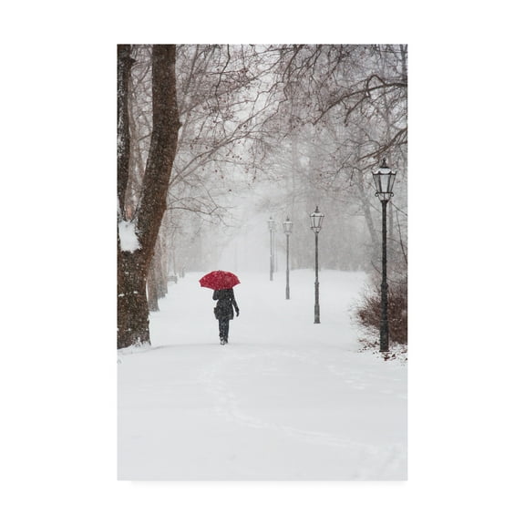 Trademark Fine Art 'Winter Rose' Canvas Art by Stefano Cors