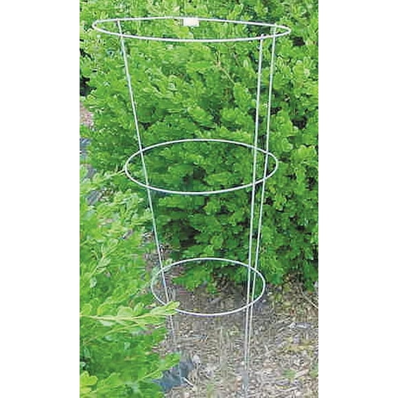 In. Galvanized Tomato Cage