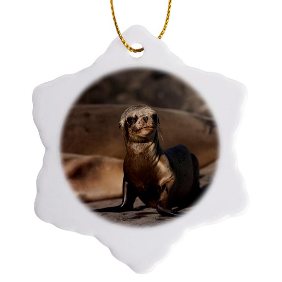 3drose, Usa, California, La Jolla. Baby Sea Lion on Sand., 3 inch Snowflake Porcelain Ornament