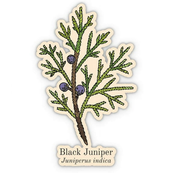 Black Jupiter - 3" Vinyl Sticker - For Car Laptop I-Pad Phone Helmet Hard Hat - Waterproof Decal