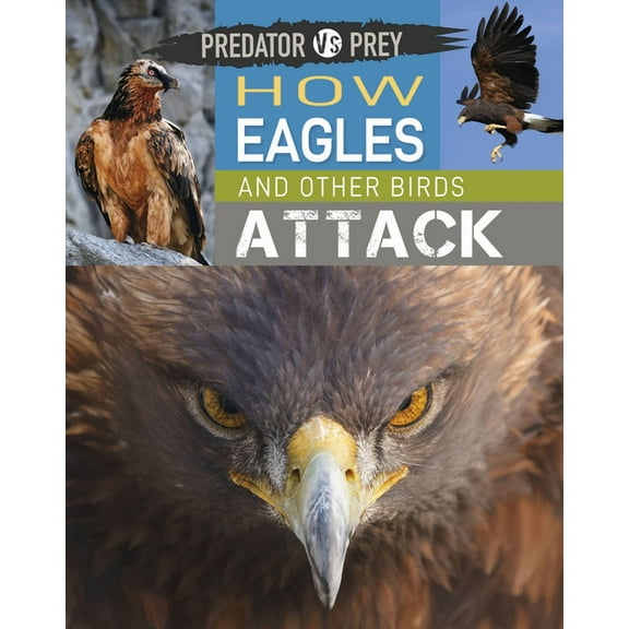 Predator vs Prey: Predator vs Prey: How Eagles and other Birds Attack! (Paperback)