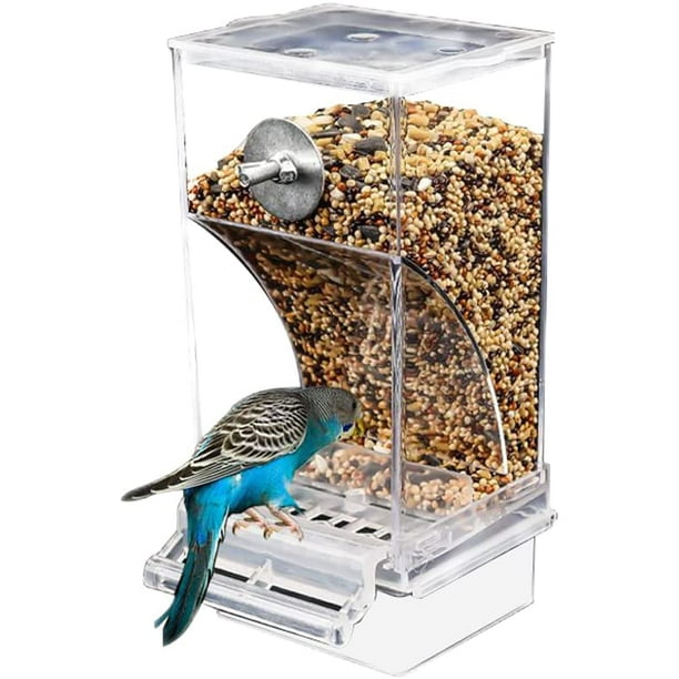 Mangeoire automatique anti-éclaboussures pour oiseaux, accessoires