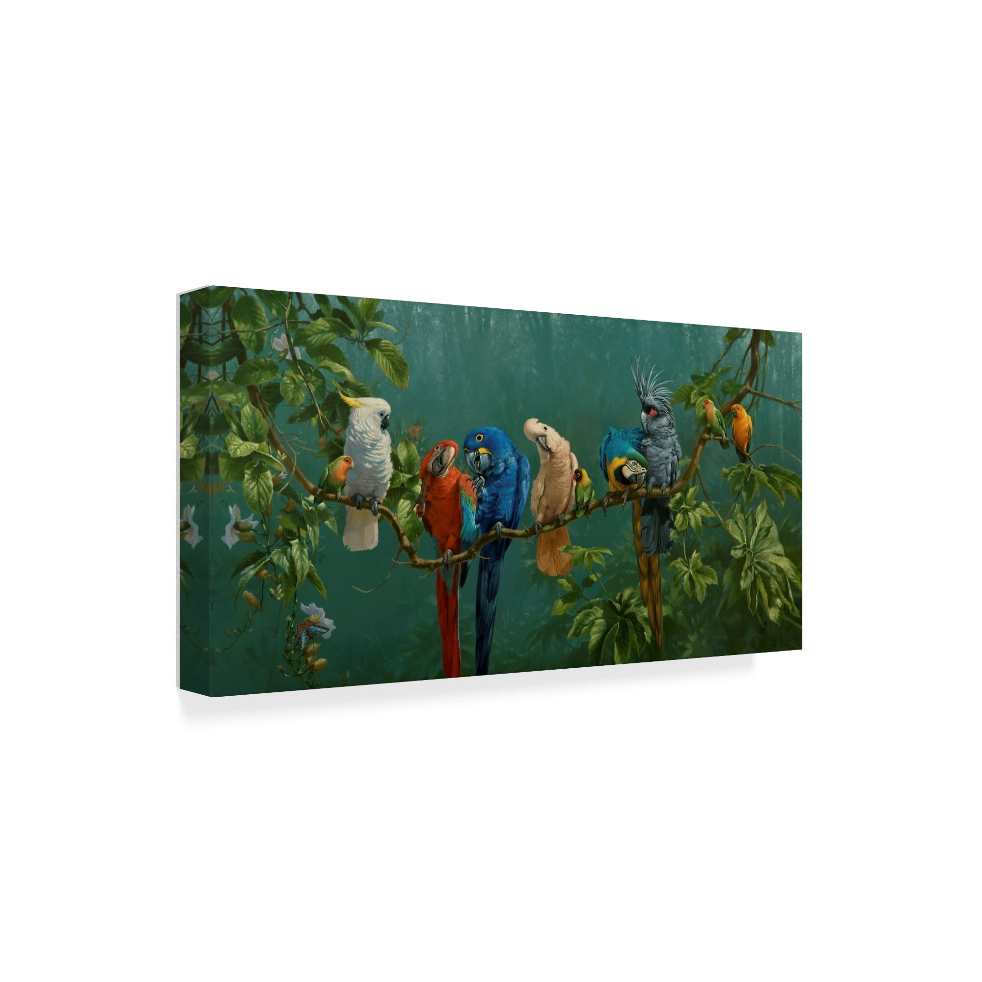 Trademark Fine Art 'Perroquets' Canvas Art by Michael Jackson