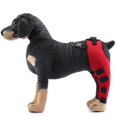 thumbnail image 2 of Double Rear Leg Protection Dog Knee Brace For Acl Knee Cap Dislocation Arthritis Keeps The Joint Warm Extra Support, 2 of 5