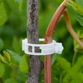 thumbnail image 3 of 100 clips de soporte de plantas de plástico blanco para ayudar al crecimiento vertical de las plantas de vid., 3 of 5