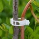 thumbnail image 3 of 100 clips de soporte de plantas de plástico blanco para ayudar al crecimiento vertical de las plantas de vid., 3 of 5