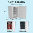 thumbnail image 3 of SnowLion 4.3 Cu Ft Compact Refrigerator, White, 3 of 5