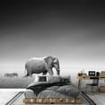 thumbnail image 3 of wall26 - Elephant with Zebra Behind on Open Plains of Etosha Artistic Processing - Removable Wall Mural | Self-Adhesive Large Wallpaper - 100x144 inches, 3 of 6