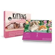 Trends International 2023 Keith Kimberlin Kittens Day-at-a-Time Box Calendar