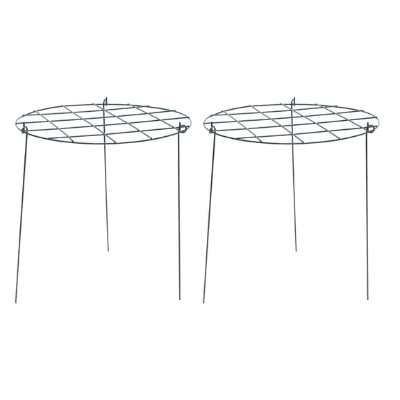 HEMOTON Plant Climbing Support for Gardening Durable Reusable 2pcs Pole Structure Easy to Install