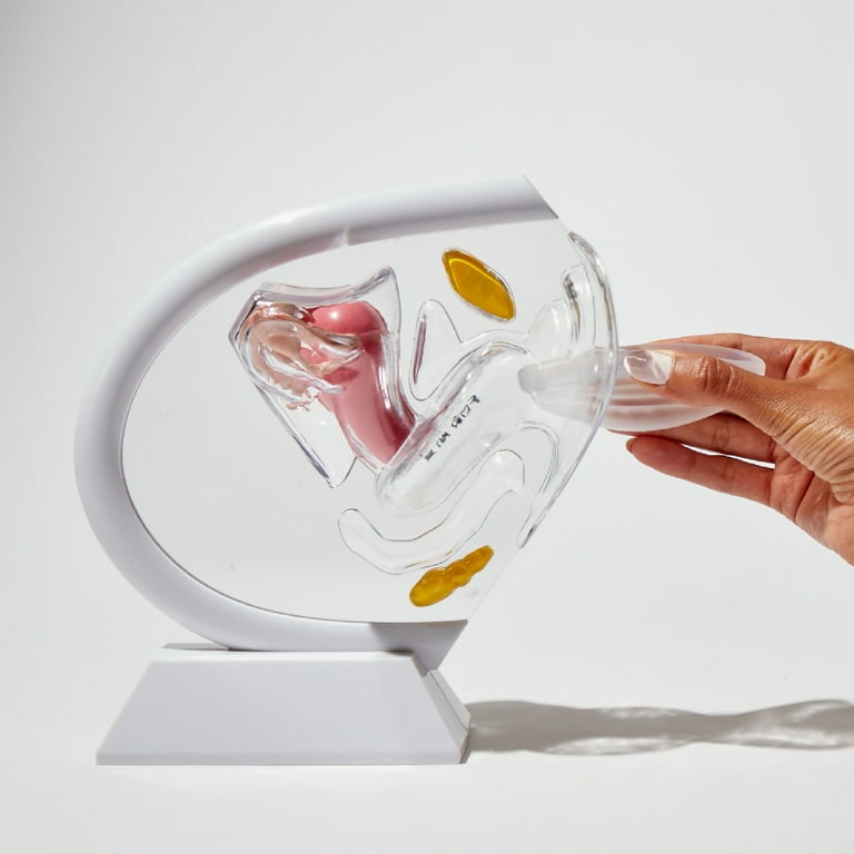 Flex Reusable Period Disc, Zero-Waste Menstrual Disc, Body-Safe