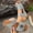 #0086-Gray, variant on Xucatan Women's Wedge Heel Sandals, Flower Embellished Open Toe Beach Slippers, Sequined Casual Summer Footwear, Comfortable Slide Design for Spring Outdoor Gift