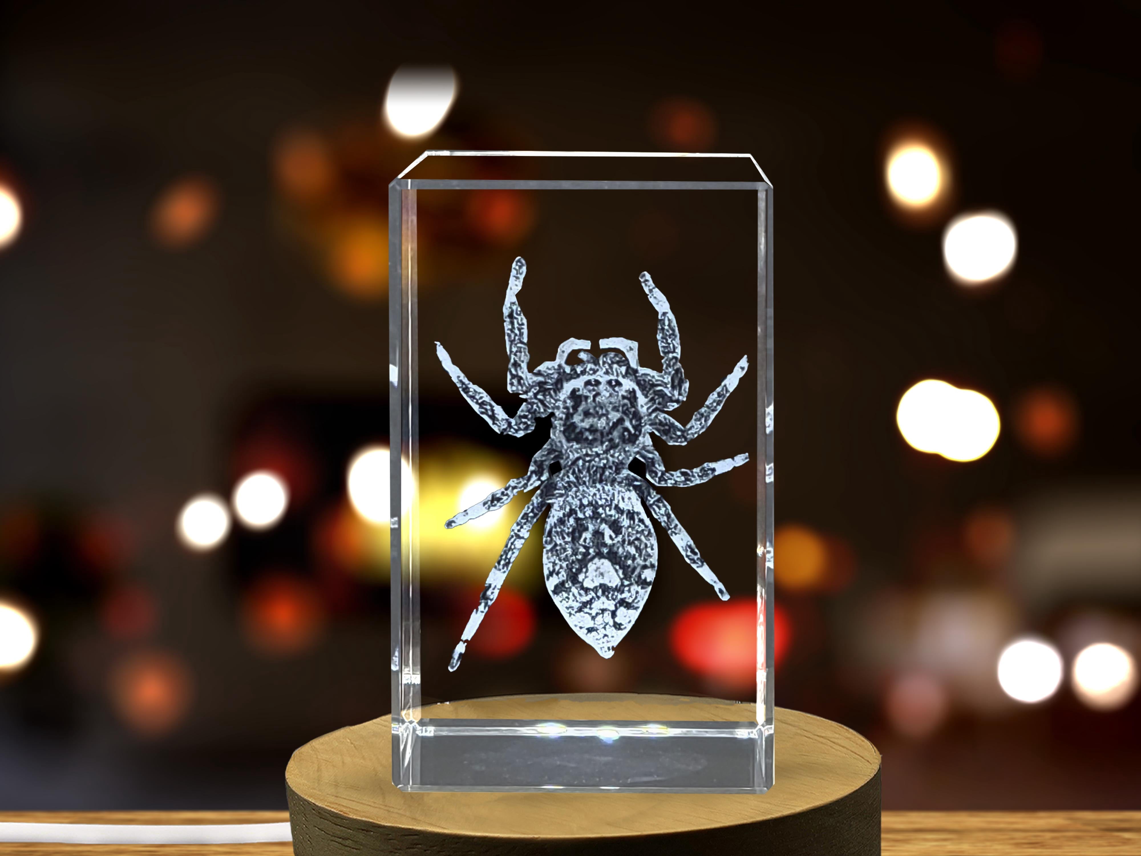 Beautiful 3D Engraved Crystal with Jumping Spider Design