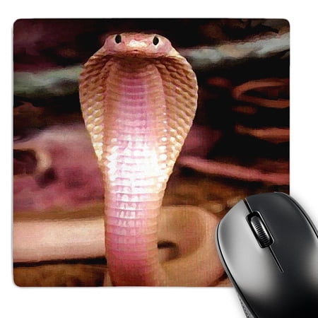 3dRose  Albino Siamese Cobra  MousePad price history on PriceWatchPro