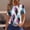 A14 White, variant on Xdegoge T Shirts for Women Short Sleeve Crewneck Casual Boho Vintage Vibe Regular Fit All Over Floral Botanical Print Graphic Soft Comfy Breathable Flowy Summer Spring Tops