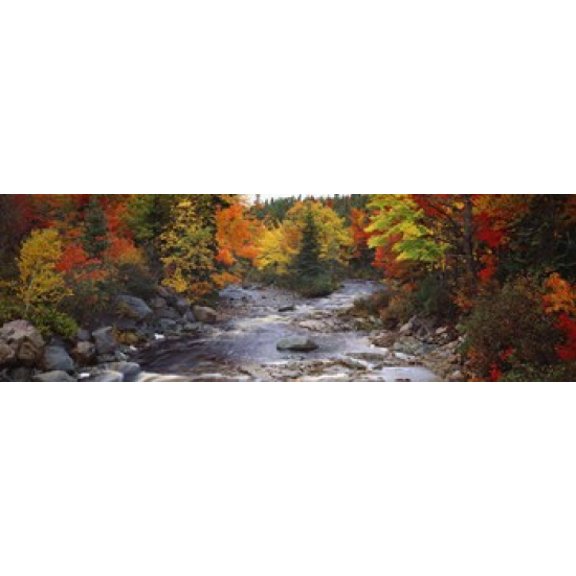 Stream with trees in a forest in autumn Nova Scotia Canada Canvas Art - Panoramic Images (36 x 12)