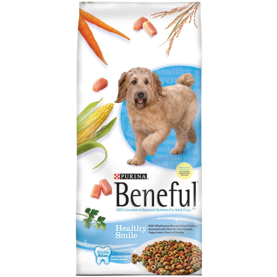 healthy pets food