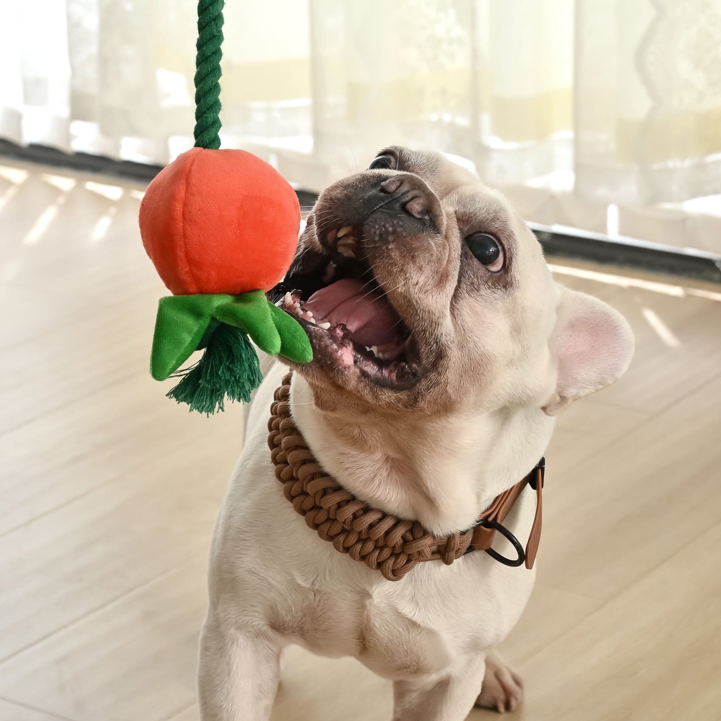 Max & Marlow Dog Rope Toys, 2 in 1 Interactive Veggie-themed Plush Toys with TPR Toys, 3 Pack