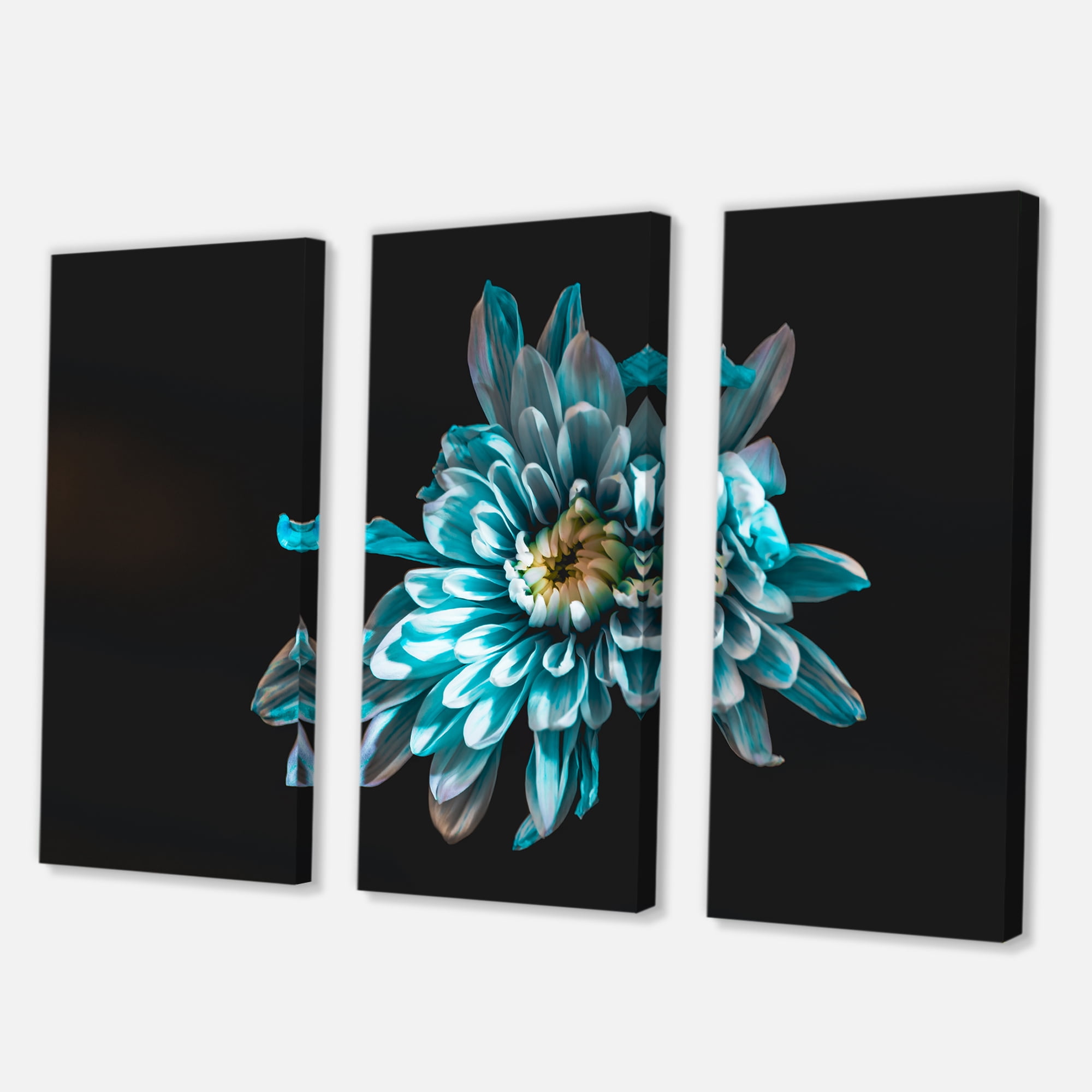 Designart ' Top View of White and Blue Flower ' Traditional Canvas Wall Art Print
